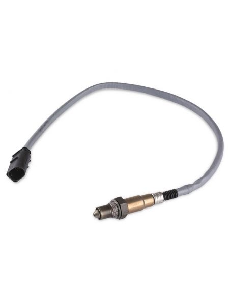 Genau Lambda Sensor